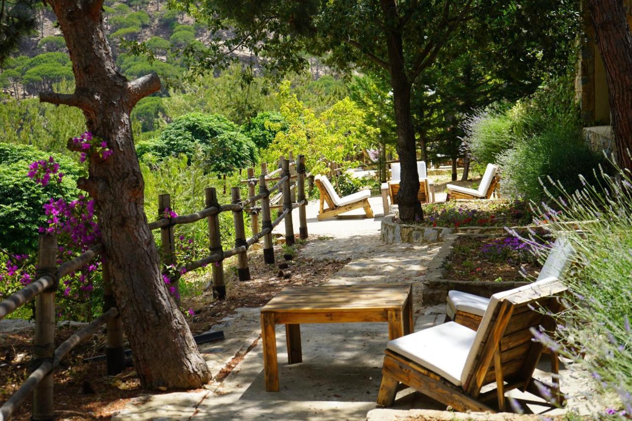 Jezzîne 블루 제이 밸리 B&B 외부 사진