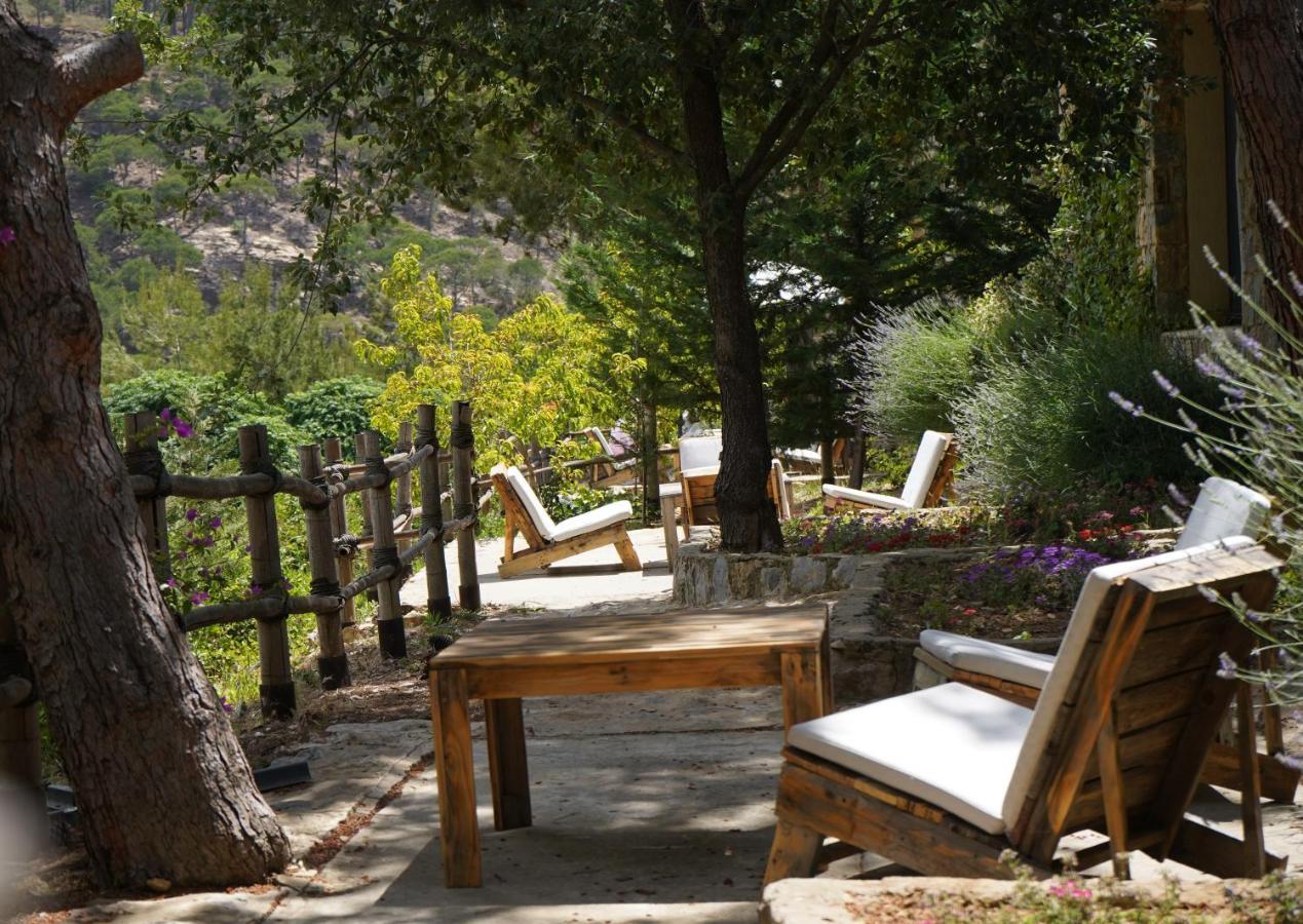 Jezzîne 블루 제이 밸리 B&B 외부 사진