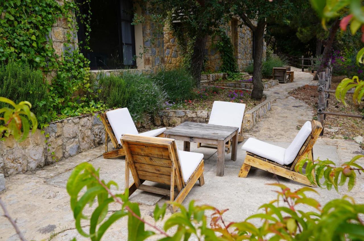 Jezzîne 블루 제이 밸리 B&B 외부 사진