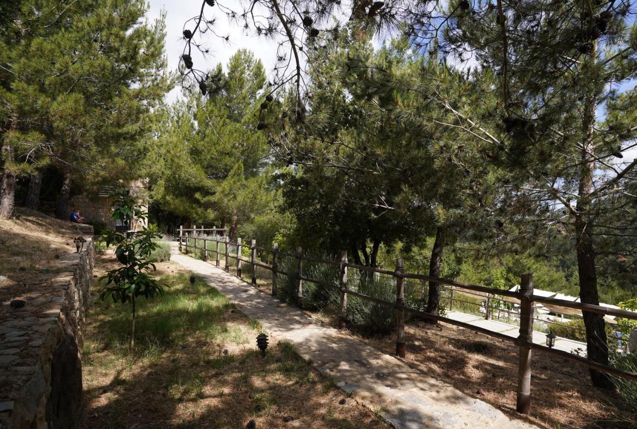 Jezzîne 블루 제이 밸리 B&B 외부 사진