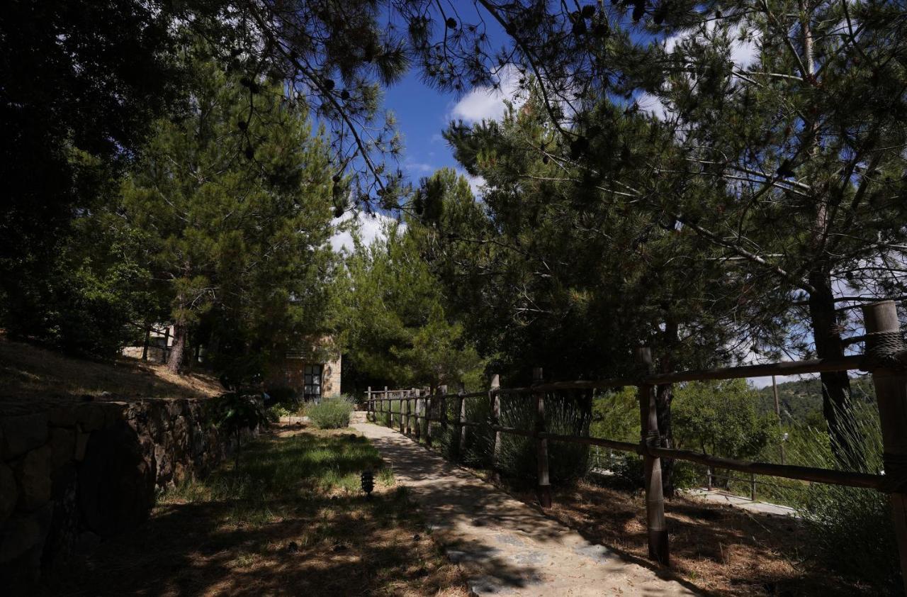 Jezzîne 블루 제이 밸리 B&B 외부 사진